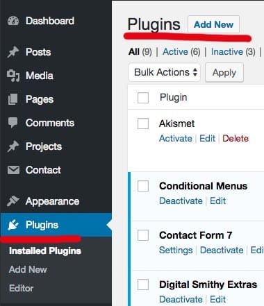 Wordpress dashboard Plugins section